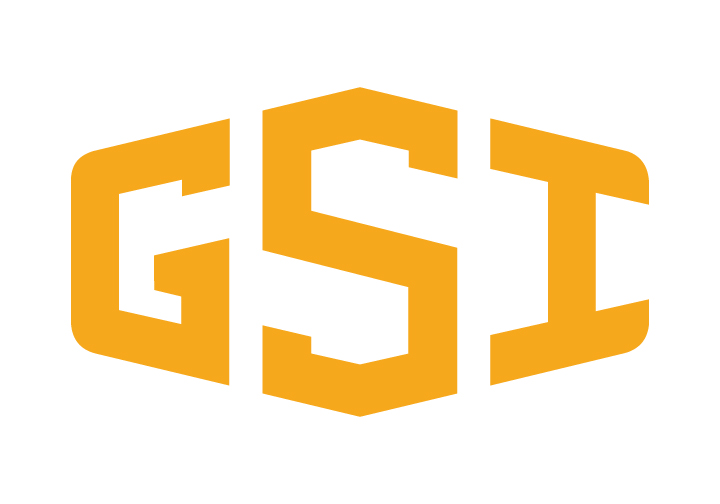 GSI Group, LLC.